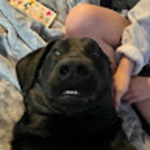 Meet your Posher, Maya